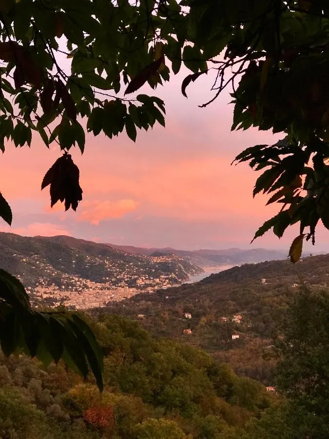 La Riviera Bed & Breakfast Bed & Breakfast Rapallo 0*,
