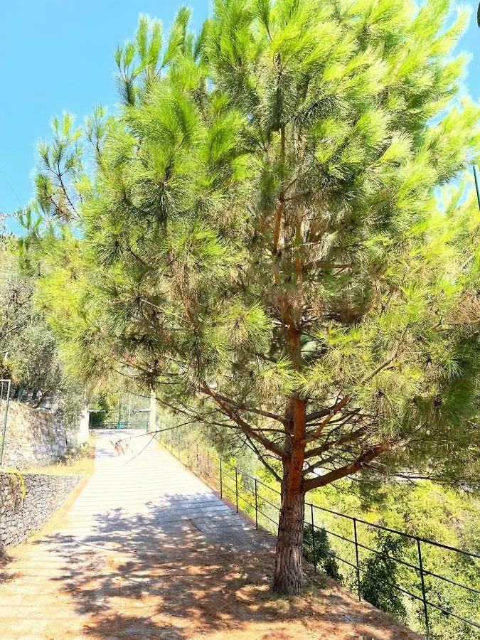 مبيت وإفطار راباللو La Riviera Bed & Breakfast